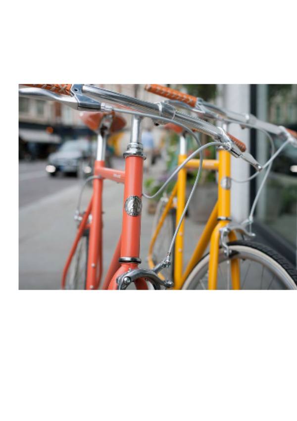 CITY BIKE SERVICE
