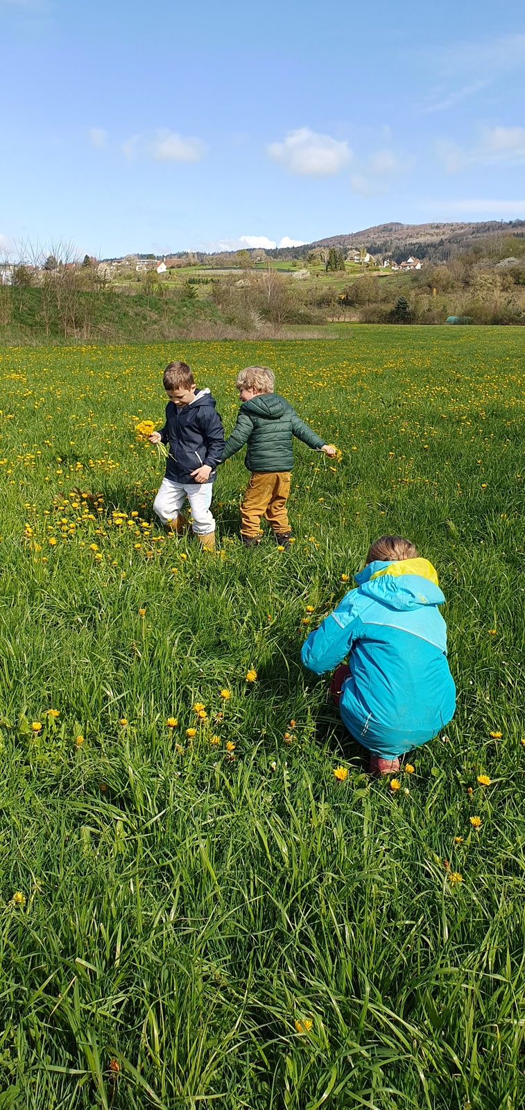 Familienerlebnis - Schatzsuche in der Natur