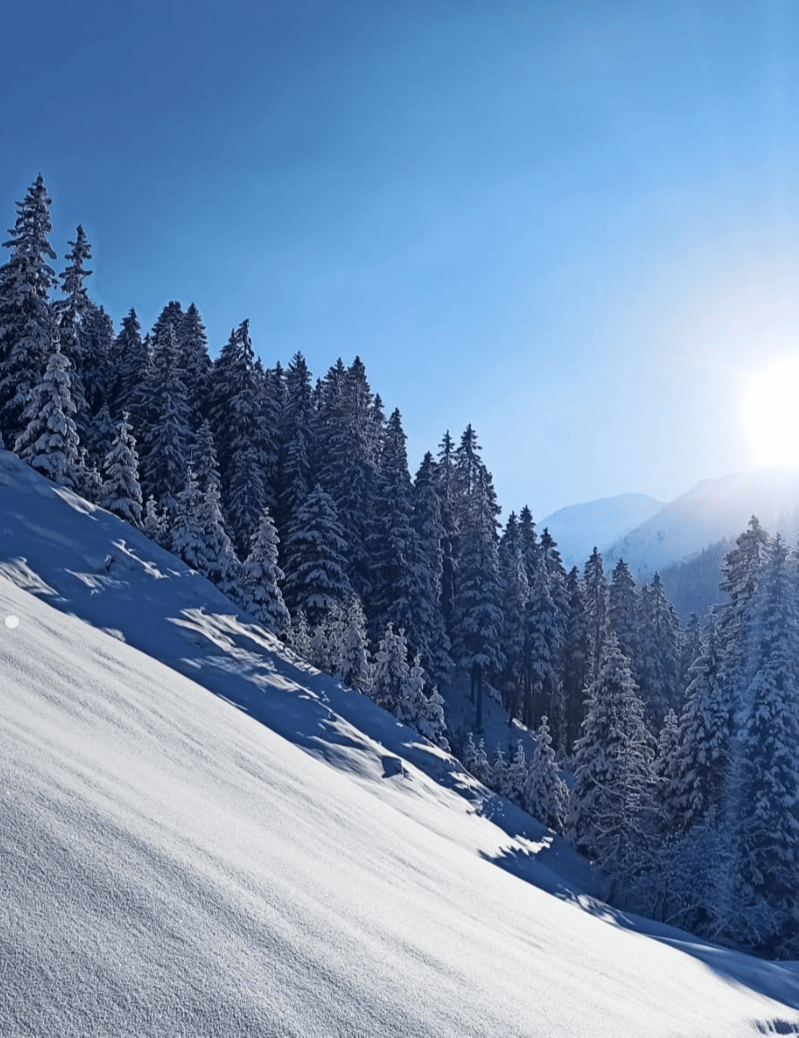 Ski Tour - Freeriding 