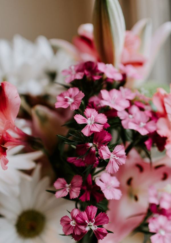 Blumenfreude klein und fein