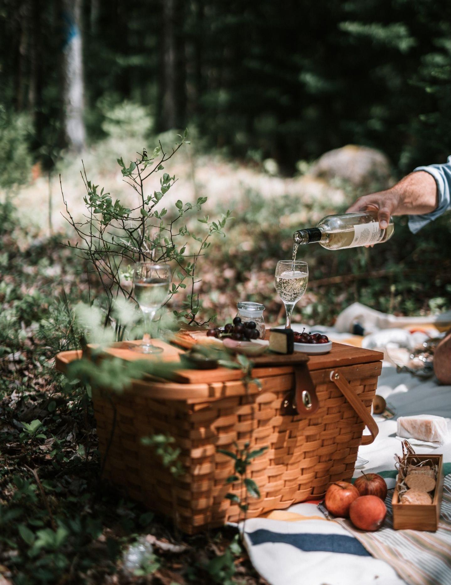 loisi's picnic