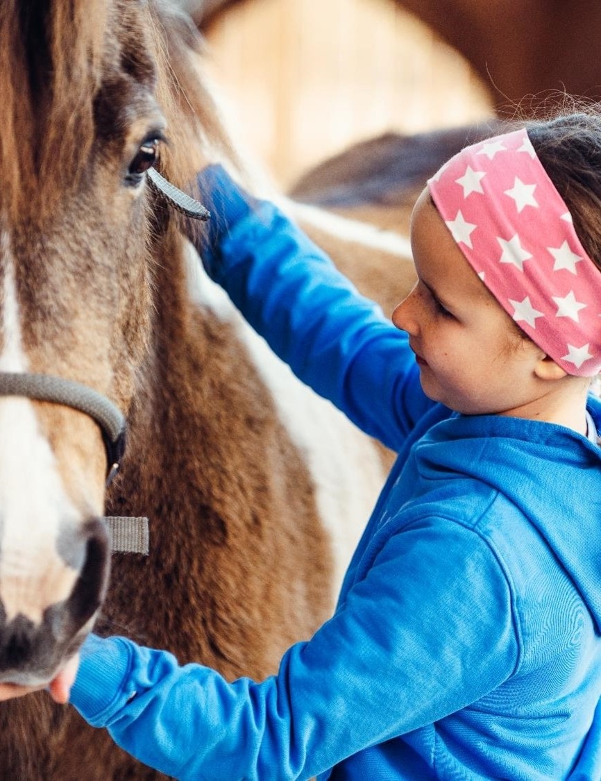 Pony rides at the
Adventure farm Oberhabach