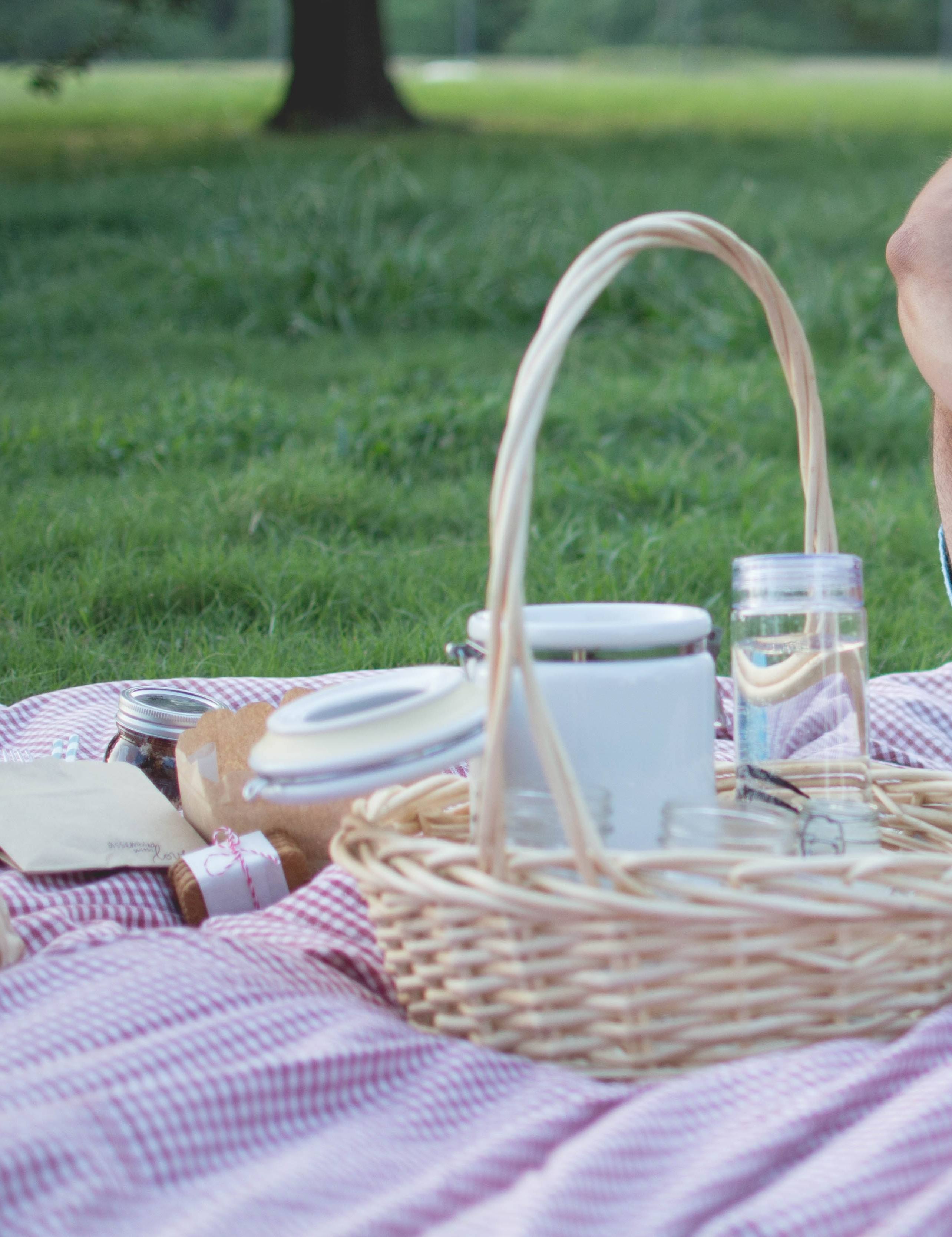 Forest romantic picnic for 2 people