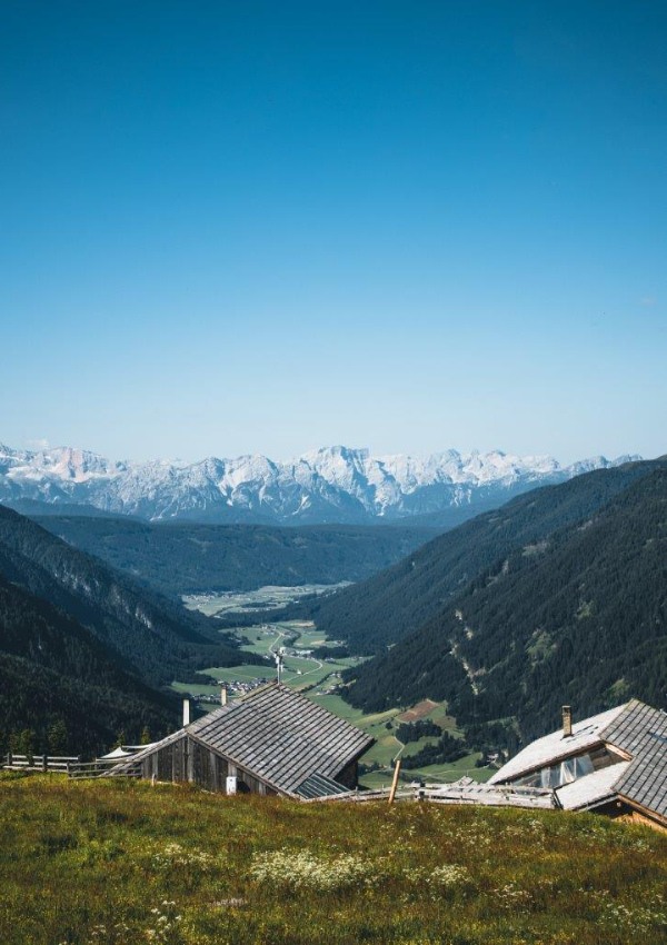 Wanderung: Pfoi Alm und Uwald Alm