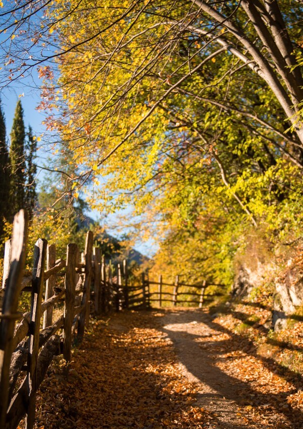 Guided summit and nature hikes in Lana