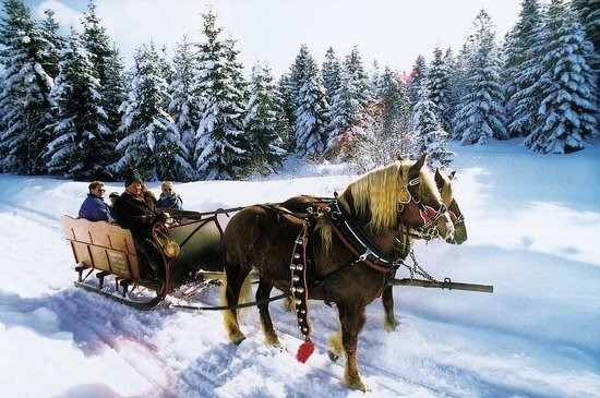 Carriage rides
