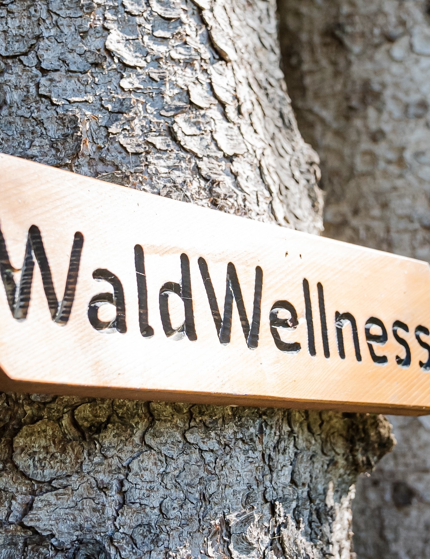 Do it Yourself Waldbaden - WaldWellness im Torghele's Wald + Fluh