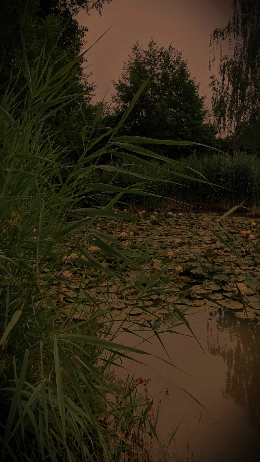 Familienerlebnis - Nachtwanderung zum Weiher mit Gespenstergeschichte