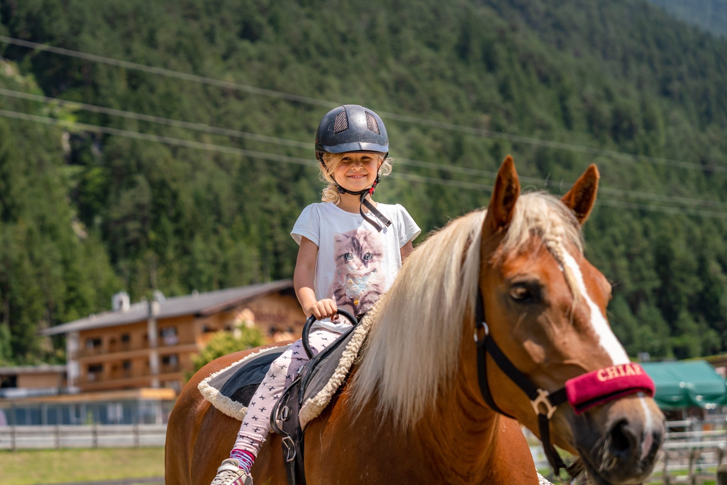 Your day at the pony farm