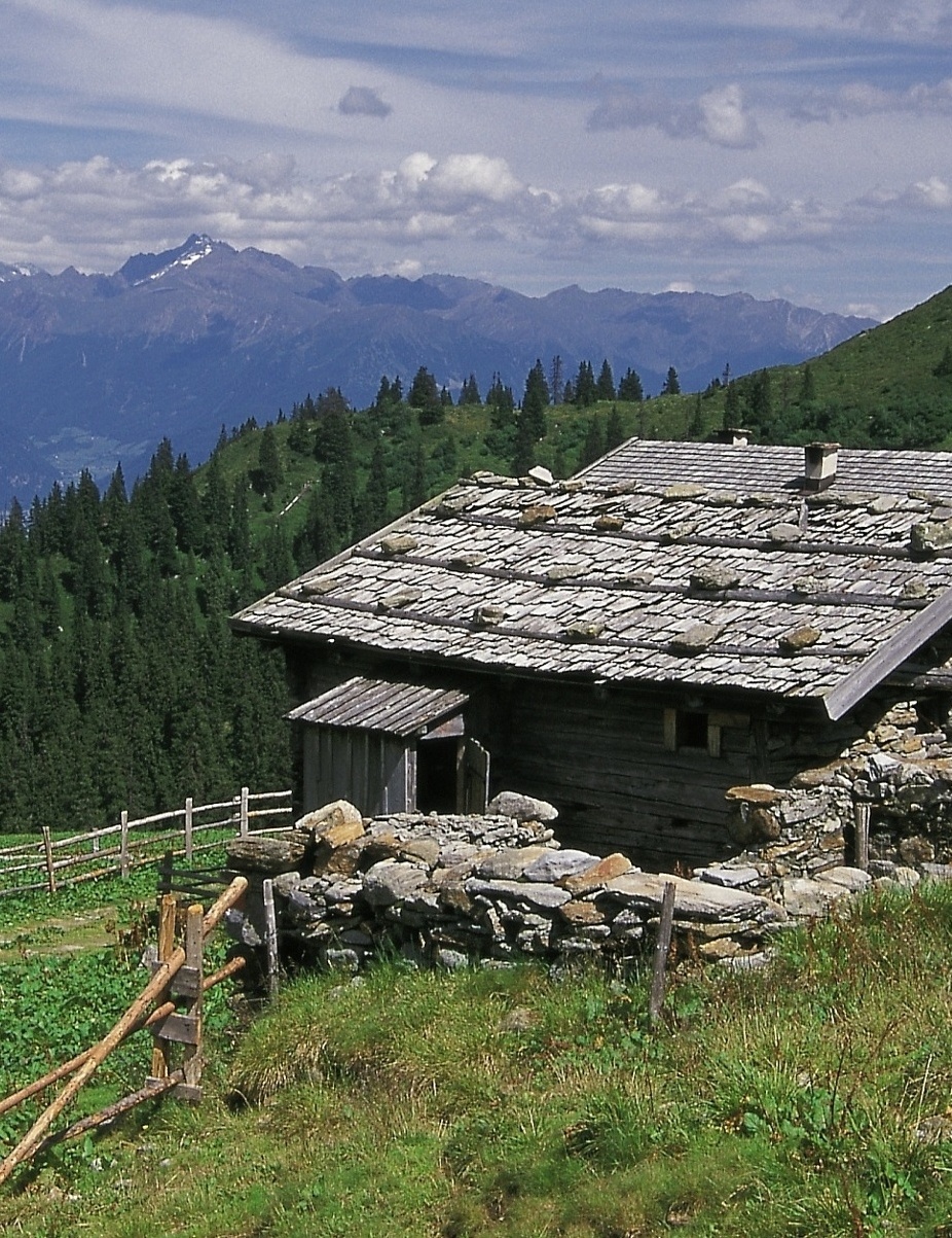 Pascoli alpini e mo(o)re