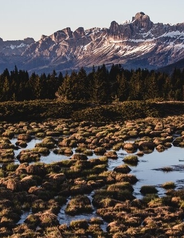 Less waste means more nature