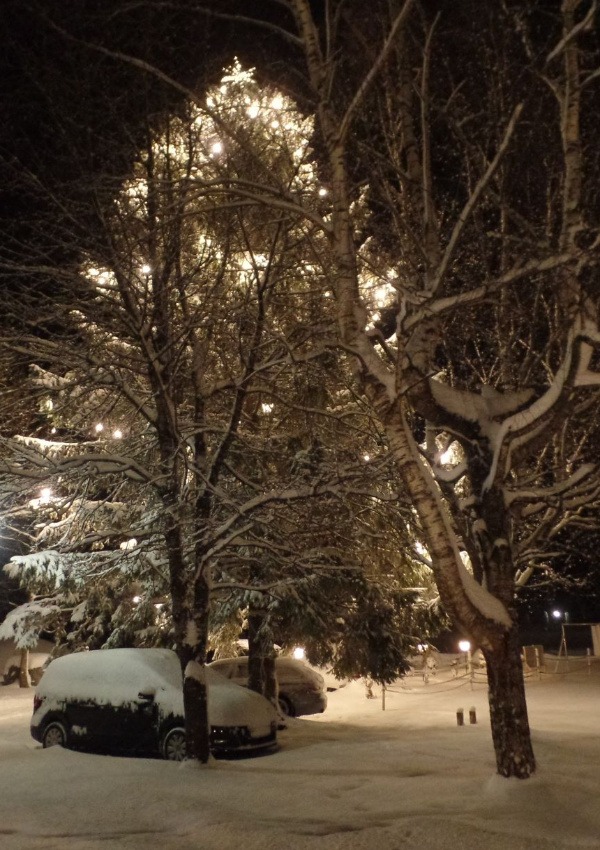 Winter Night - torchlight hike with mulled wine at the campfire 